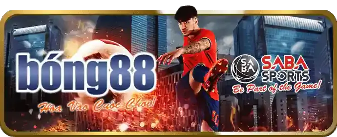 Các Môn Thể Thao Khác
